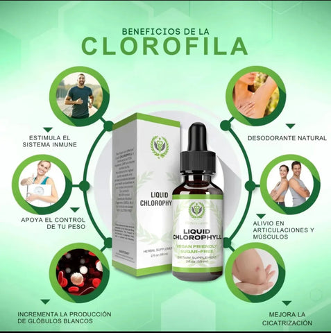 Image of Clorofila Liquida